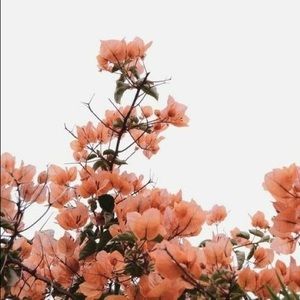 Meet your Posher, Amina